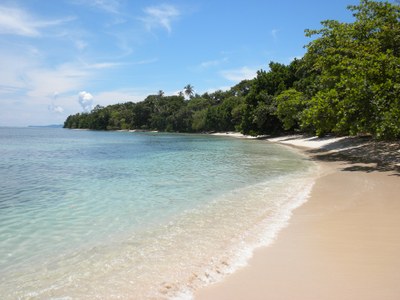 Panama   Beach and Ocean